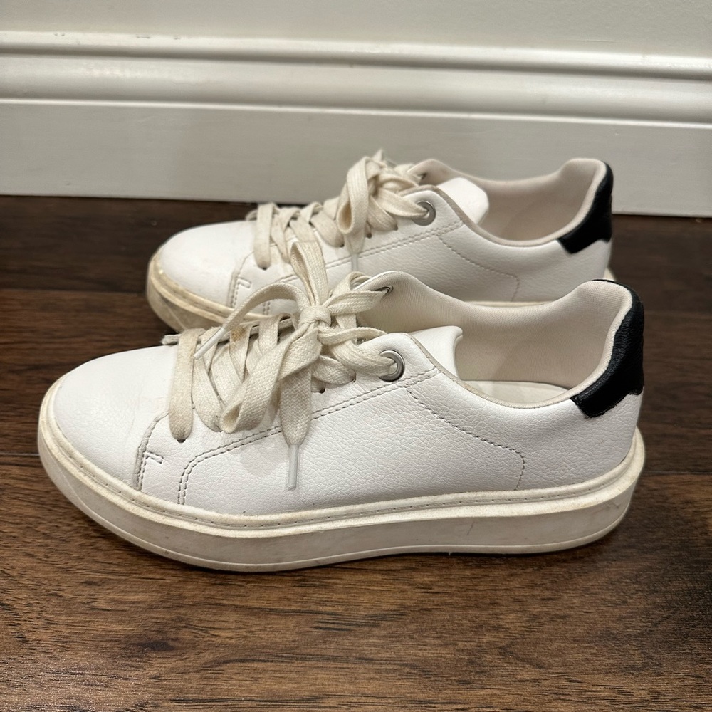 Steve Madden Charlie Platform Sneakers